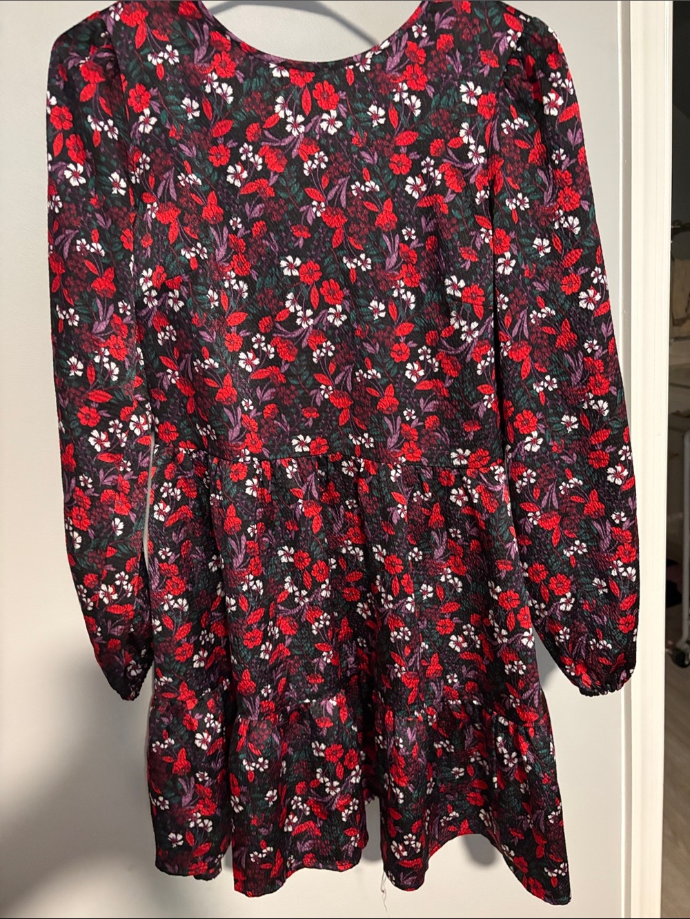 Women’s fall/holiday dress
